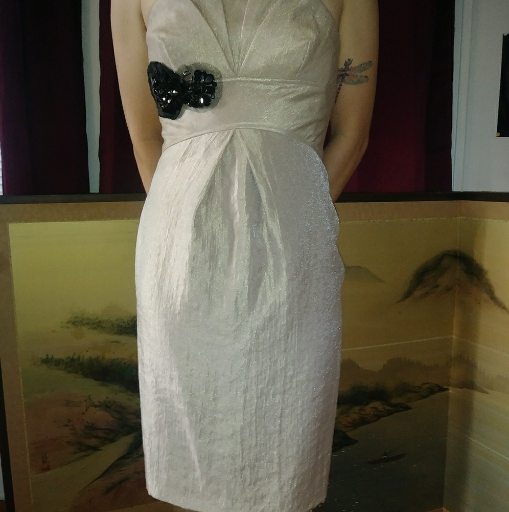 Vera Wang bridesmaids dress